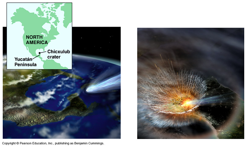 A depiction of the asteroid impact on the Yucatán Peninsula, 65 million years ago.