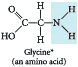 An example amine, glycine.